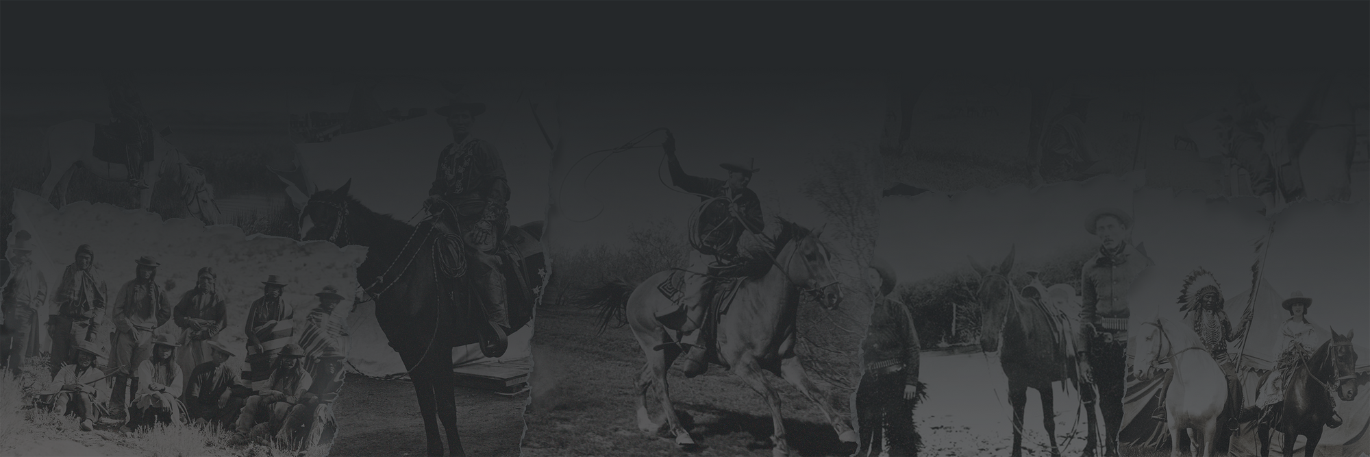 Collection Banner